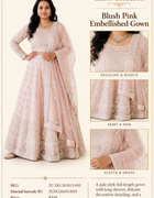 Blush Pink Embellished Gown character sheet